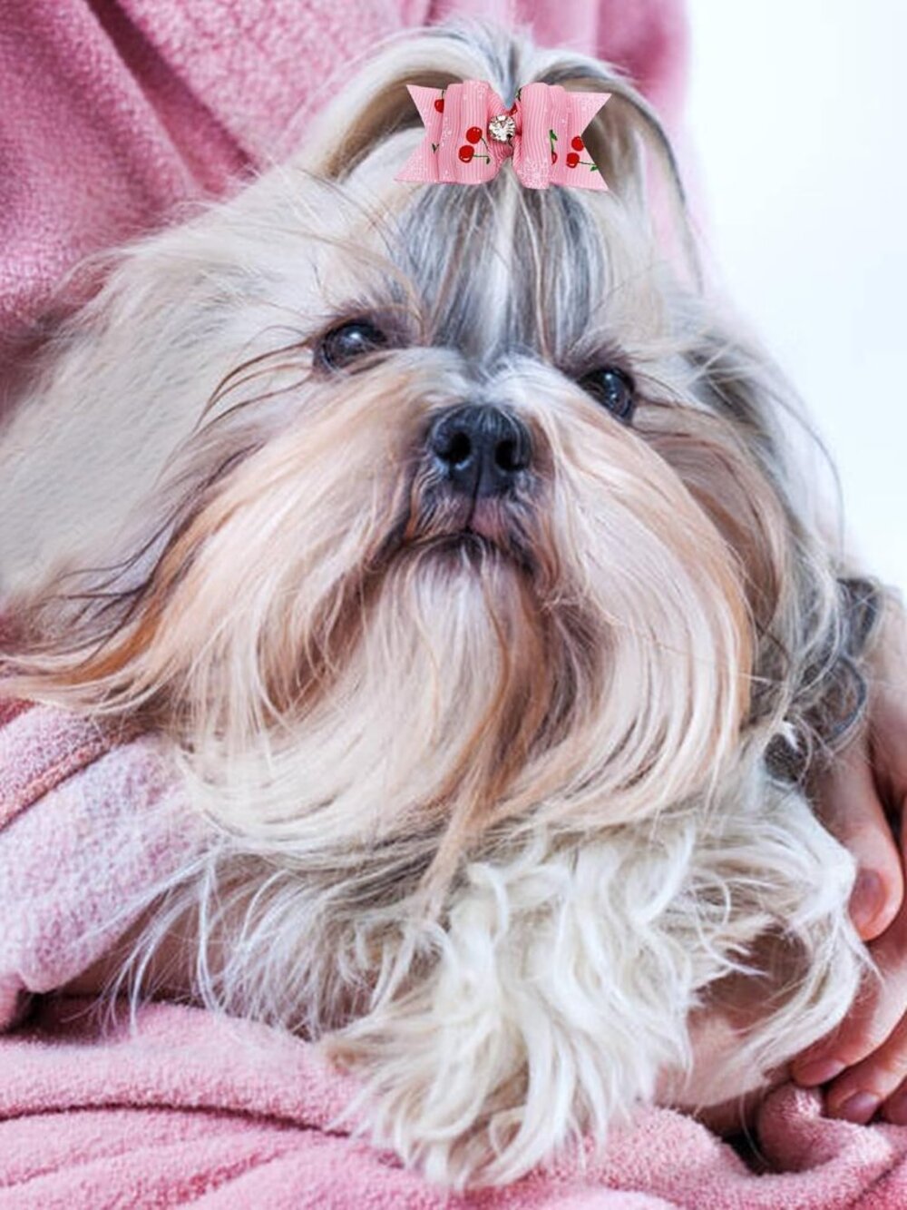 Mixed Styles Pet Cat Puppy Topknot Small Dog Hair Bows with Rubber Bands Groomin - Picture 8 of 8